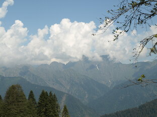 Наша природа