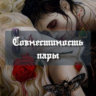 Совместимость