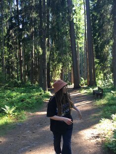 🌲 Леса, горы, реки 