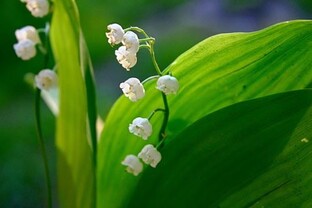 ЭТО ОЧЕНЬ КРАСИВО: