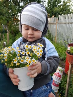 Воспитание