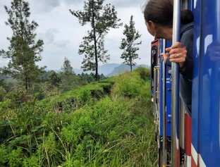 Девятая зимовка