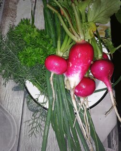 Салаты из овощей