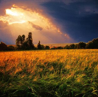 Художества