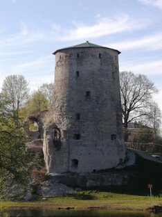 umkaлюбитпсков