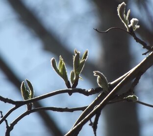 Про школу и техникум