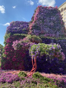 Сентябрь 2022 - Расклад Таро для всех знаков зодиака