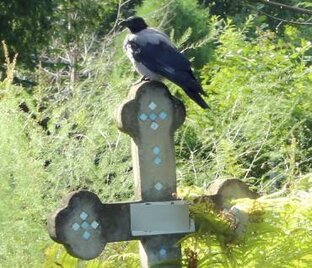 Могилы знаменитостей