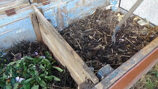 Уход за почвой Все о сидератах