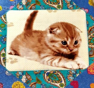 Видео разной тематики