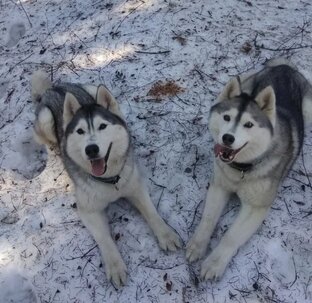 Про бабешек: истории из жизни.