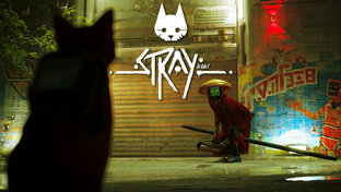 Stray