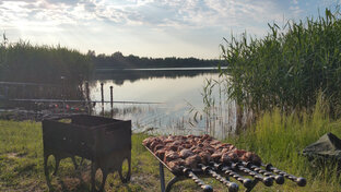 Рыбалка,отдых, природа. 