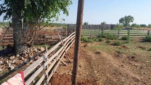 История моего ЛПХ , в формате чтения .