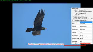 Советы, обзоры