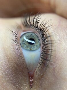 Ламинирование ресниц 