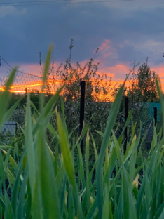 Деревенская атмосфера 