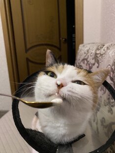 Подборка фото
