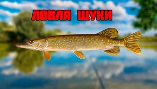 Ловля щуки