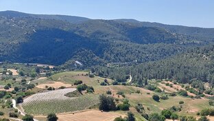 Видео с дрона/квадрокоптера