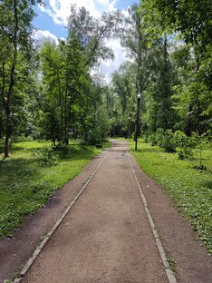 Мысли о жизни