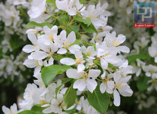 РАССКАЗЫ и ИСТОРИИ. 