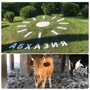 Истории из Абхазии ☀️