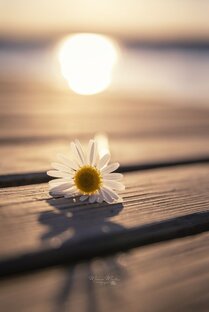 Полезное видео