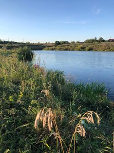 Рассказы: Женкая подлость . И опять про женскую подлость