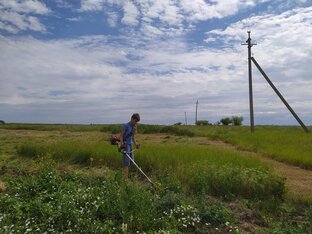 Деревенские каникулы