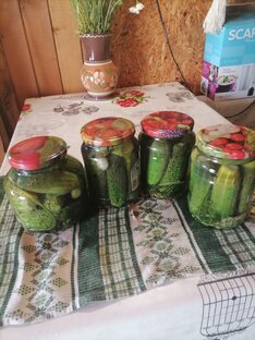 Готовим и заготавливаем, печём хлеб