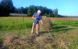 Деревенские будни