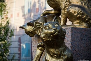 Стихи и истории про кошек