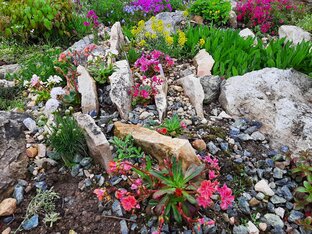 Альпинарий на Урале 