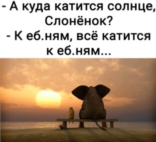 О злободневном