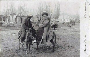 Англичанка гадит