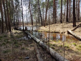 Природа, отдых, хорошее настроение.