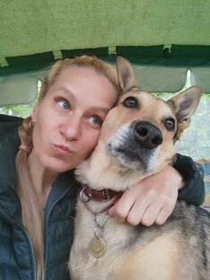 Лиса - это собака 