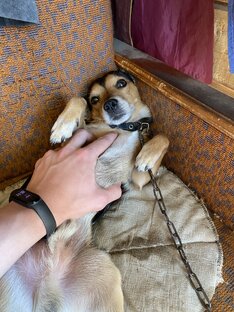 Почему так стыдно читать прошлые посты? 