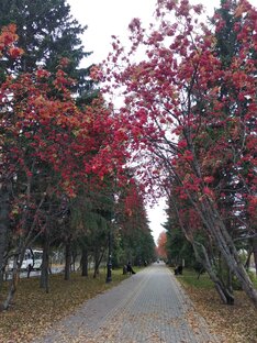 Томск