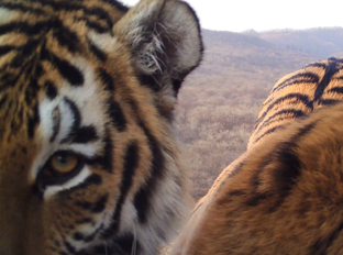 Заповедники