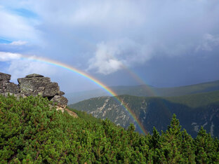 Путешествия