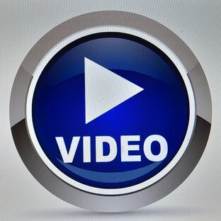 Видео о кошках