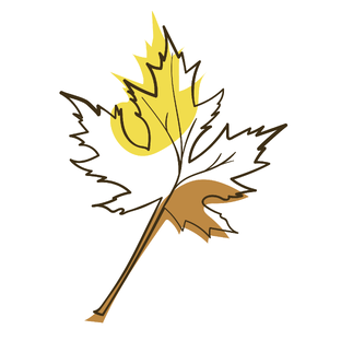 Осенний лист 