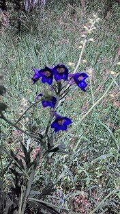 Духовная  помощь.