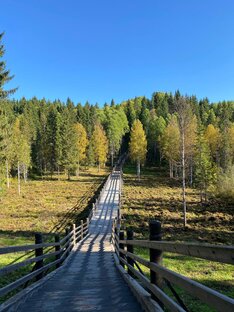 Архангельская область