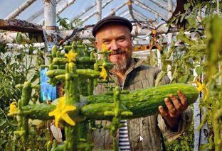 Кинопанорама