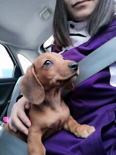Вудька🐶