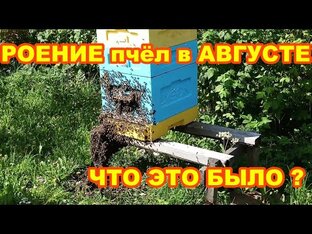 Пчеловодство ! Средняя полоса России !