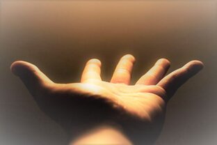 Прямые Трансляции